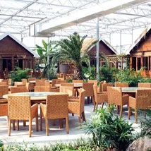 溫室農業(yè)景觀